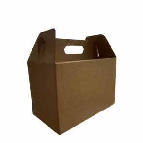 Caja Troquelada Lonchera 1