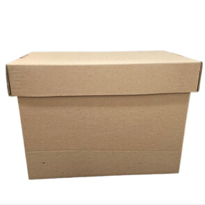 Caja Troquelada X-300 Mini